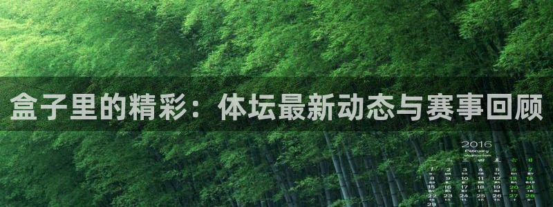 nba体育直播吧在线：盒子里的精彩：体坛最新动态与赛事回顾