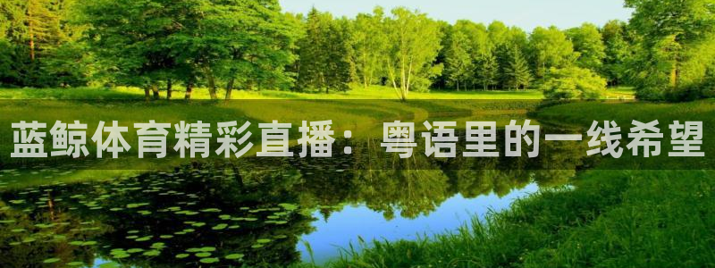 nba直播吧免费直播：蓝鲸体育精彩直播：粤语里的一线希望