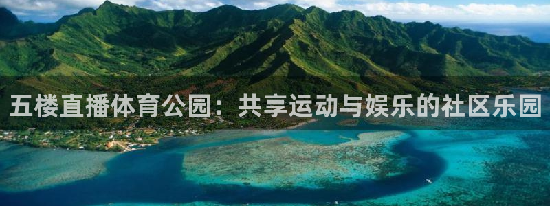 篮球直播吧nba：五楼直播体育公园：共享运动与娱乐的社区乐园