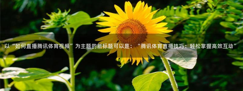 直播吧劲爆体育：以“如何直播腾讯体育视频”为主题的新标题可以是：“腾讯体育直播技巧：轻松掌握高效互动”