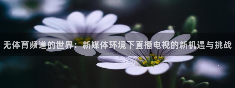 看球帝直播吧：无体育频道的世界：新媒体环境下直播电视的新机遇与挑战