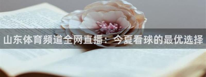 足球直播吧直播吧：山东体育频道全网直播：今夏看球的最优选择