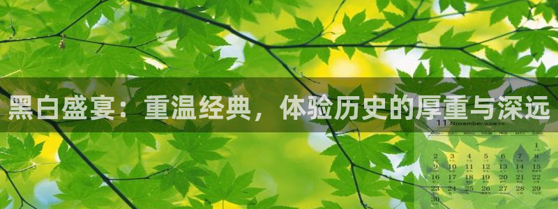直播吧】：黑白盛宴：重温经典，体验历史的厚重与深远