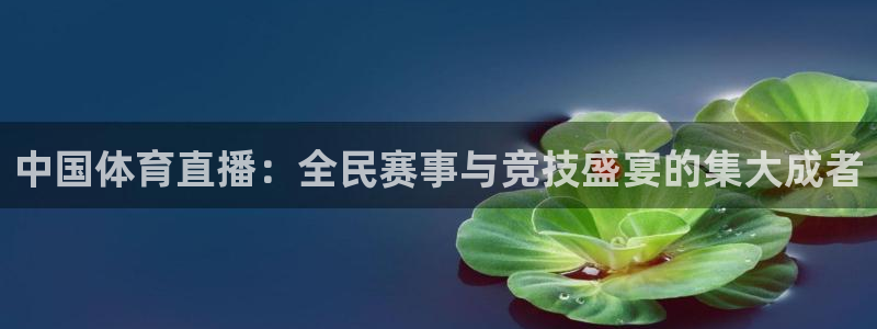 直播吧jrs：中国体育直播：全民赛事与竞技盛宴的集大成者