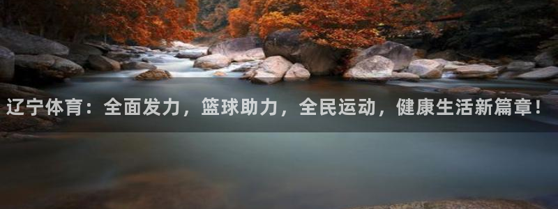 网络体育直播吧：辽宁体育：全面发力，篮球助力，全民运动，健康生活新篇章！