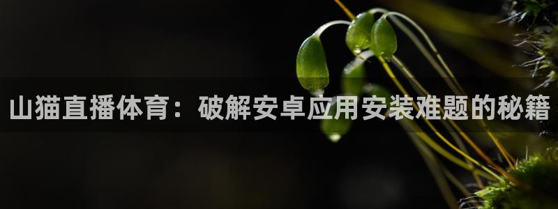 体育视频直播吧：山猫直播体育：破解安卓应用安装难题的秘籍