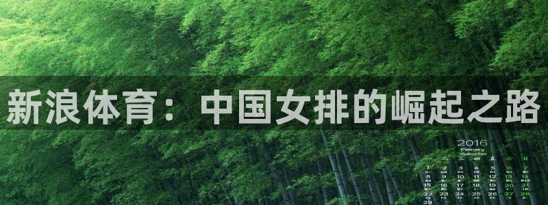 919直播吧体育：新浪体育：中国女排的崛起之路